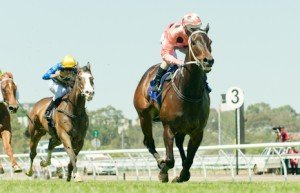 Flemington Raceday