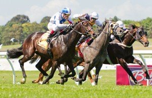 Sandown Raceday