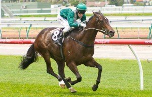 Flemington Raceday