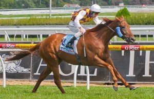 Caulfield Raceday