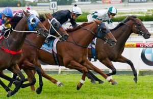 Caulfield Raceday Chasm winning the Robert Taranto Doveton Stakes at Caulfield - photo by Race Horse Photos Australia
