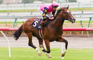 Flemington Raceday