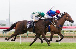 Flemington Raceday