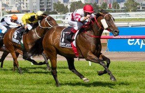 Flemington Raceday