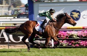 Alcopop - Photo by Steve Hart