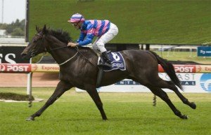 Ambers Waltz - sportpix.com.au