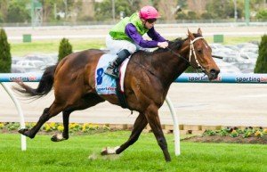 Cauthen winning the Essendon Nissan McKenzie Stakes at Moonee Valley - photo by Race Horse Photos Australia