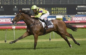 Crystal-Lily-Golden-Rose Crystal Lily - sportpix.com.au