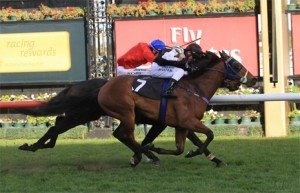 Elusive-Touch-Auries-Star-Handicap Elusive-Touch-Auries-Star-Handicap