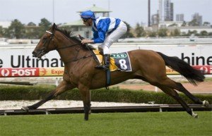 More Joyous - sportpix.com.au