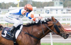 Pocket Rocket winning the Robert Eldridge & Lesley Millson Handicap at Flemington - photo by Race Horse Photos Australia