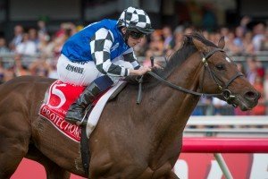 Protectionist - Melbourne Cup 2015