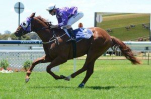 aceway announced himself as a Golden Slipper prospect
