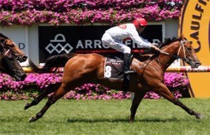 Reward-For-Effort-Concorde-Stakes Reward For Effort - sportpix.com.au
