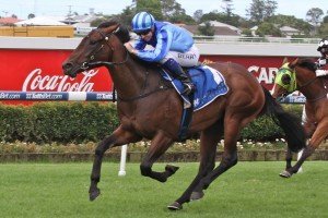 Unemcumbered, Nathan Berry