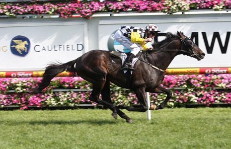 Bmw caulfield cup 2009 results #2
