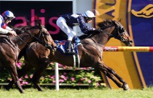 Vigor - sportpix.com.au