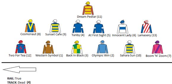 bendigo-cup-speed-map