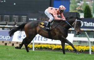 black-caviar-lightning-stakes Black Caviar on track for Lightning Stakes - Photo by Steve Hart