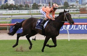 black-caviar-lightning-stakes Black Caviar winning the Lightning Stakes - Photo by Steve Hart