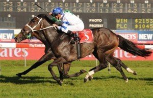 rangirangdo-doncaster-mile Rangirangdoo grinds down Road To Rock to win the Doncaster Mile