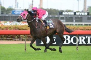 republic-lad-rosehill-26122011