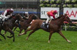 whitefriars-winterbottom-stakes Whitefriars - sportpix.com.au