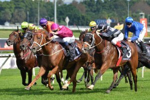 Japonisme - Photo by Sarah Ebbett | Just Horse Racing Japonisme - Photo by Sarah Ebbett