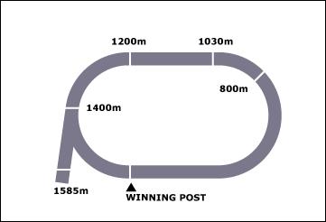 Gatton Race Course