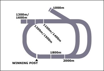 Rockhampton Race Course