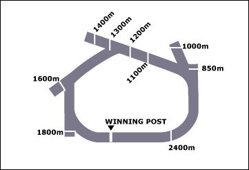 Sunshine Coast Race Course