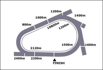 Elwick Race Course