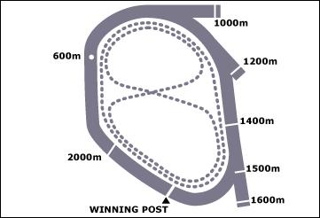 Mornington Race Course