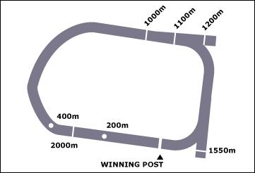 St Arnaud Race Course