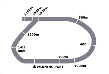 Armidale Race Course