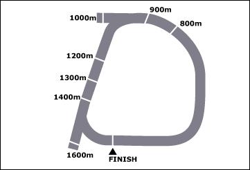 Ballina Race Course