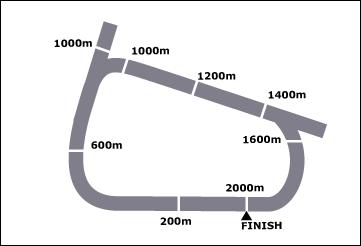 Camperdown Race Course