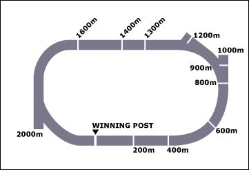 Kembla Grange Race Course