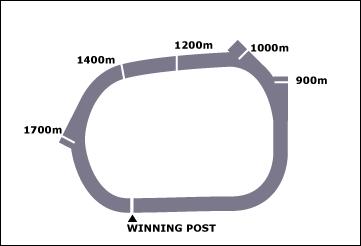 Morree Race Course