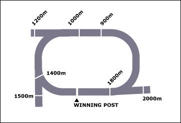 Murwillumbah Race Course