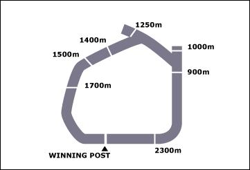 Muswellbrook Race Course