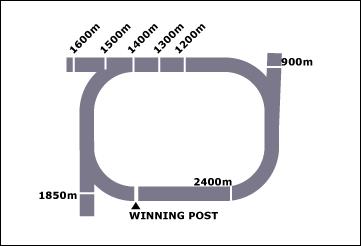 Newcastle Race Course