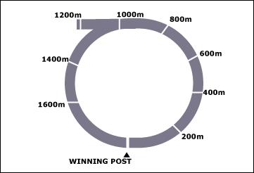 Tumut Race Course