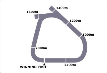 Wagga Race Course