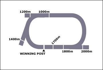 Wauchope Race Course