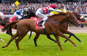 Emirates Melbourne Cup at Flemington - photo by Race Horse Photos Australia | Just Horse Racing Emirates Melbourne Cup at Flemington - photo by Race Horse Photos Australia