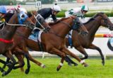 Chasm winning the Robert Taranto Doveton Stakes at Caulfield - photo by Race Horse Photos Australia