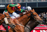 Happy Trails winning the Emirates Stakes at Flemington - photo by Race Horse Photos Australia