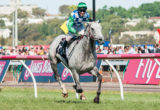 Puissance De Lune winning the Queen Elizabeth Stakes at Flemington - photo by Race Horse Photos Australia