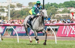 Puissance De Lune winning the Queen Elizabeth Stakes at Flemington - photo by Race Horse Photos Australia